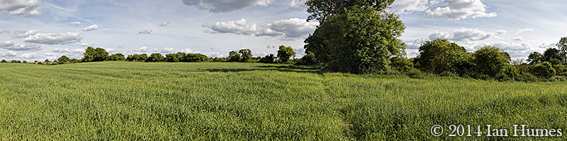 Footpaths & Tracks #1.